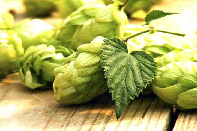 Hop cones to increase chest size